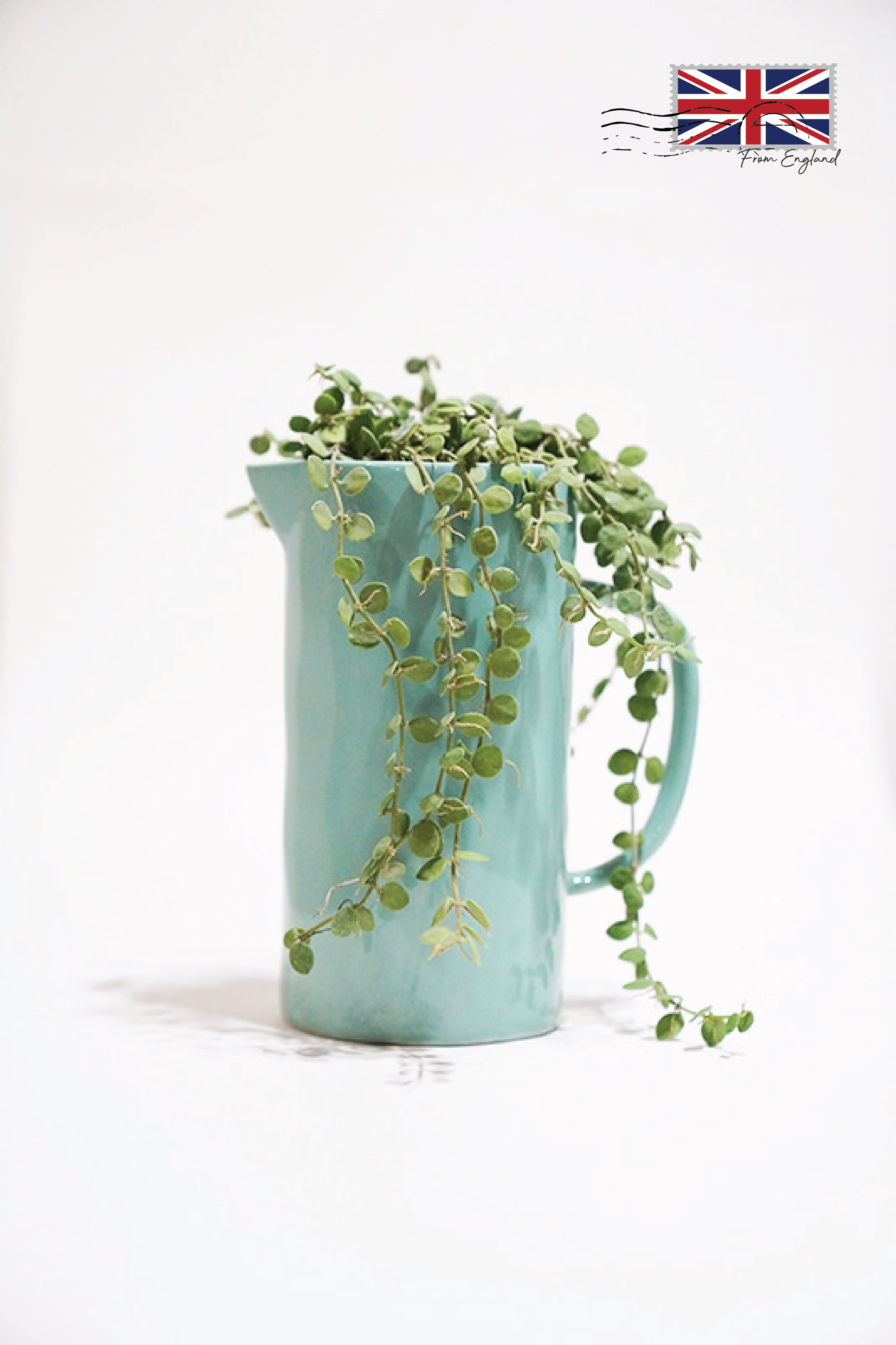 Color Jug Vase – Mint L프라그랑스