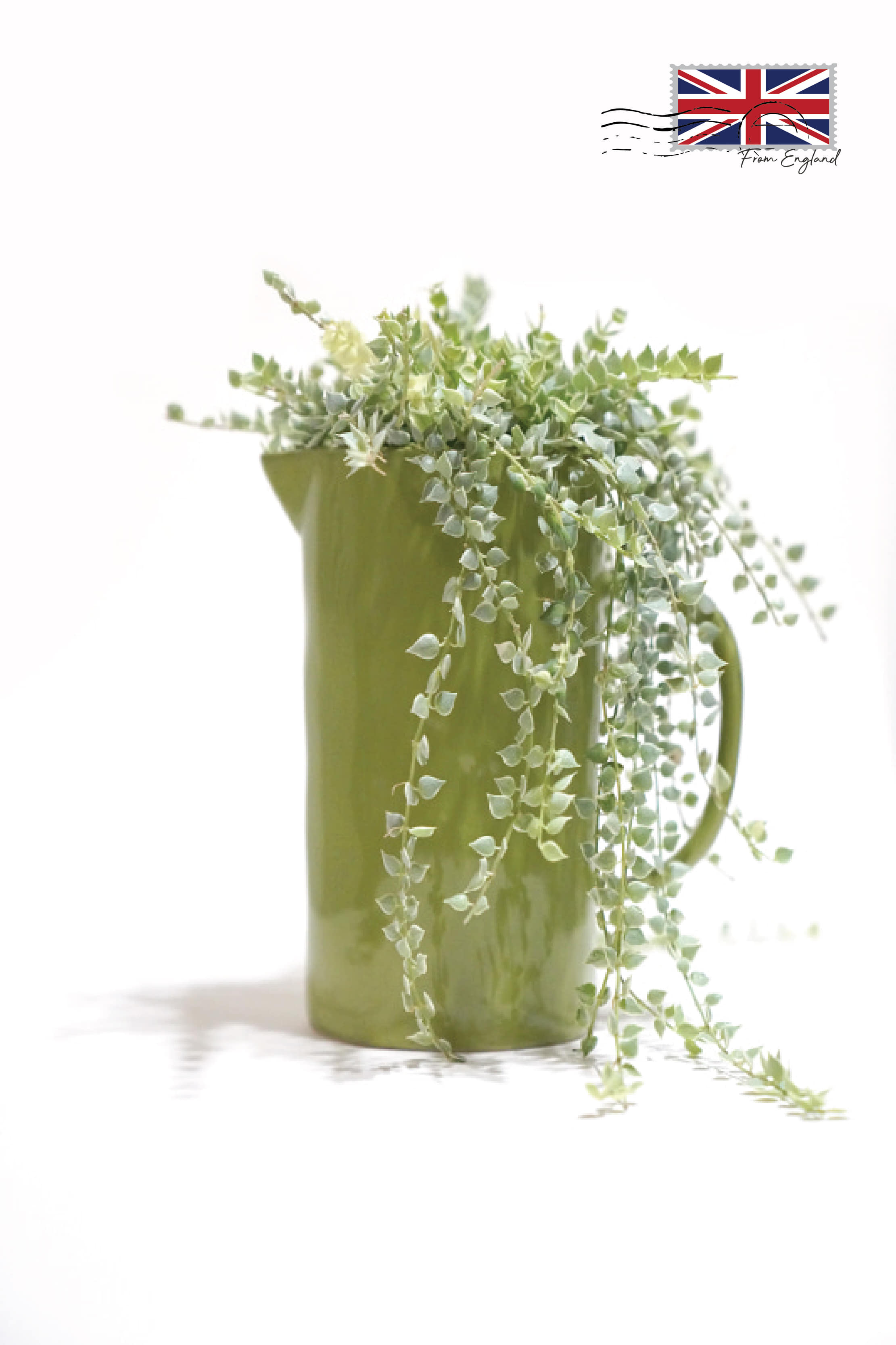 Color Jug Vase – Green L프라그랑스