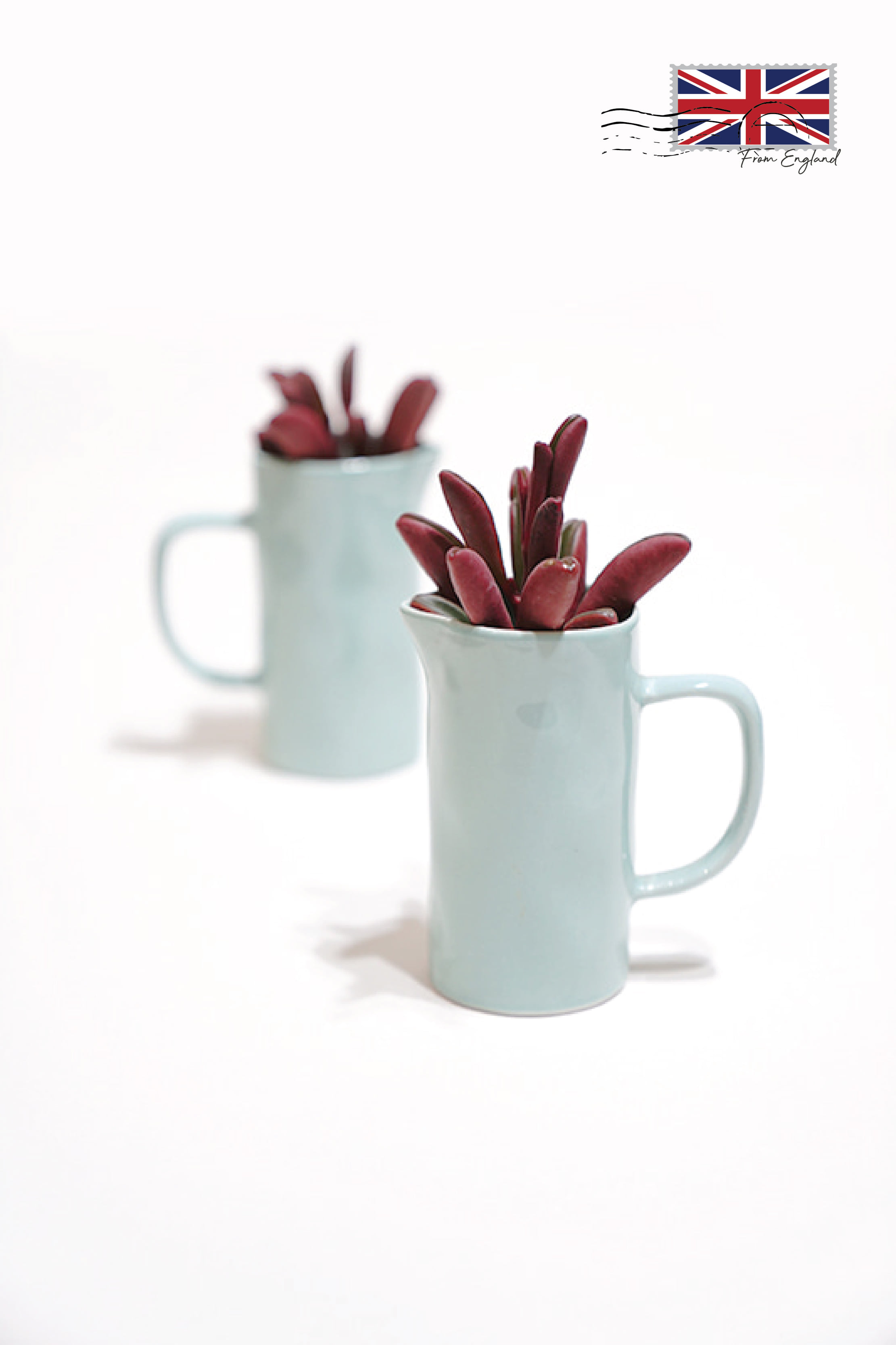 Color Jug Vase – Mint S프라그랑스